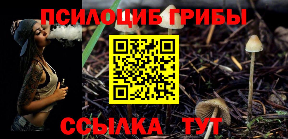 Псилоцибиновые грибы Cubensis Великий Новгород