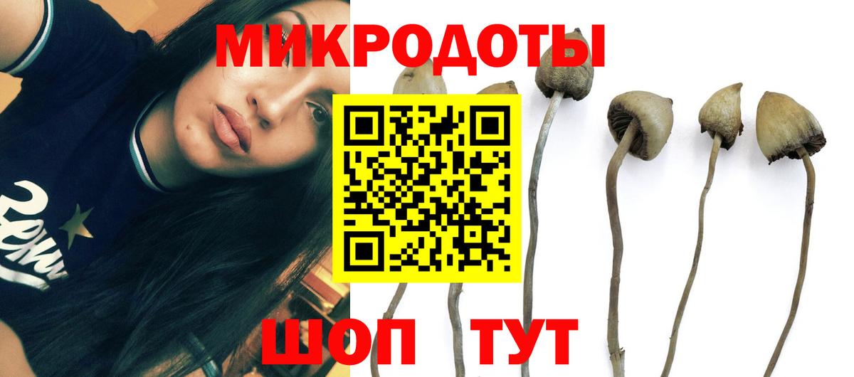 Псилоцибиновые грибы Cubensis  Псилоцибиновые грибы Psilocybe  Вход с VPN  Великий Новгород 